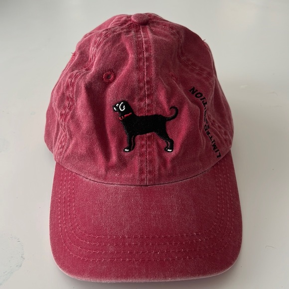 The Black Dog Other - The Black Dog Kids Hat (5-12)